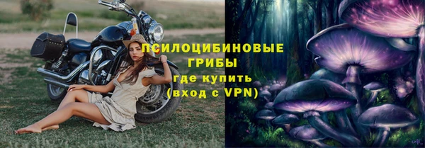 мяу мяу мука Волоколамск