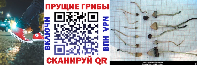 Галлюциногенные грибы Cubensis  купить наркотик  Янаул 